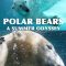 Polar Bears A Summer Odyssey