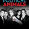 Political Animals