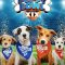 Puppy Bowl XIX