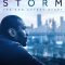 Quiet Storm The Ron Artest Story