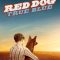 Red Dog True Blue