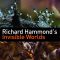 Richard Hammond’s Invisible Worlds