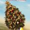 Rocket Around the Xmas Tree | Rocket around the xmas tree