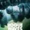 Rogue Waves