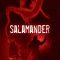 Salamander