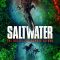 Saltwater: The Battle for Ramree Island