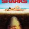 Sand Sharks