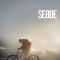 Sebbe