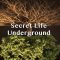 Secret Life Underground