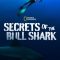 Secrets of the Bull Shark