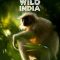 Secrets of Wild India