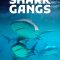 Shark Gangs