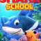 Shark School