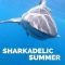 Sharkadelic Summer