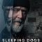 Sleeping Dogs