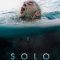 Solo