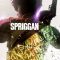 Spriggan | スプリガン