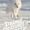 Strange Creatures of the Arctic