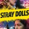 Stray Dolls