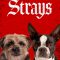 Strays