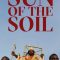 Sun of the Soil