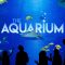 The Aquarium