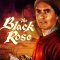 The Black Rose