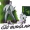 The Cat Burglar