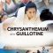 The Chrysanthemum and the Guillotine | 菊とギロチン