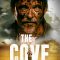 The Cove