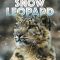 The Frozen Kingdom of the Snow Leopard | Le Royaume du léopard des neiges