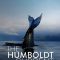 The Humboldt Current