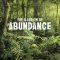 The Illusion of Abundance