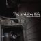 The Invisible Life | A Vida Invisível