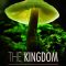 The Kingdom: How Fungi Made Our World