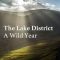 The Lake District: A Wild Year