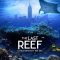 The Last Reef: Cities Beneath the Sea