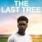 The Last Tree