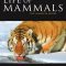 The Life of Mammals