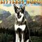 The Littlest Hobo