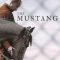 The Mustang