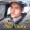 The Noel Diary