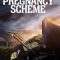 The Pregnancy Scheme