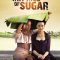 The Price of Sugar | Hoe Duur Was de Suiker