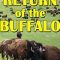 The Return of the Buffalo: Restoring the Great American Prairie