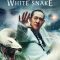 The Sorcerer and the White Snake | 白蛇传说