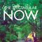 The Spectacular Now