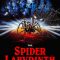 The Spider Labyrinth | Il nido del ragno