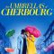 The Umbrellas of Cherbourg | Les Parapluies de Cherbourg