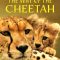 The Way of the Cheetah